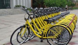 进口自行车爆料视频最新