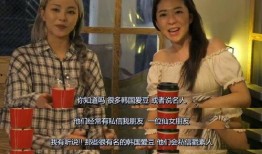 偶像吃瓜小说免费阅读,免费阅读，揭秘明星背后的秘密